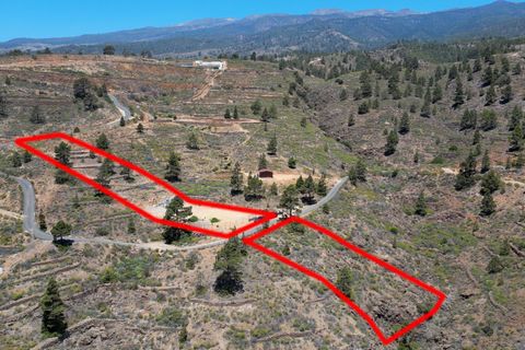 Terra a Arico, Tenerife, Arico - € 39.800 | Ref: 0067-04517/2961 - foto 5