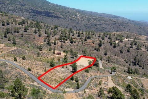 Terra a Arico, Tenerife, Arico - € 39.800 | Ref: 0067-04517/2961 - foto 7