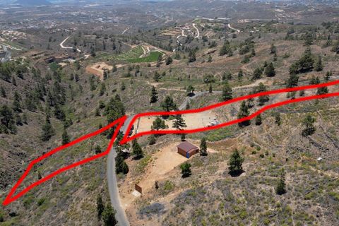 Terra a Arico, Tenerife, Arico - € 39.800 | Ref: 0067-04517/2961 - foto 11