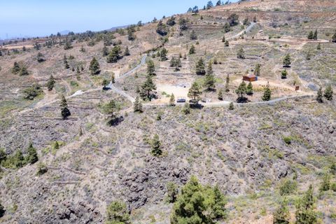 Terra a Arico, Tenerife, Arico - € 39.800 | Ref: 0067-04517/2961 - foto 13