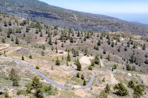 Terra a Arico, Tenerife, Arico - € 39.800 | Ref: 0067-04517/2961 - foto 16