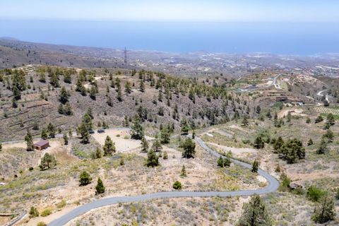 Terra a Arico, Tenerife, Arico - € 39.800 | Ref: 0067-04517/2961 - foto 18