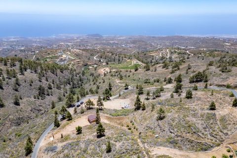 Terra a Arico, Tenerife, Arico - € 39.800 | Ref: 0067-04517/2961 - foto 20