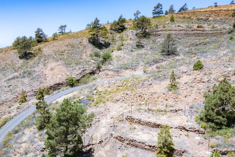 Terra a Arico, Tenerife, Arico - € 39.800 | Ref: 0067-04517/2961 - foto 25