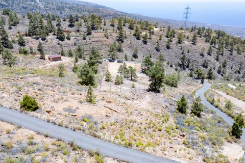 Terra a Arico, Tenerife, Arico - € 39.800 | Ref: 0067-04517/2961 - foto 26