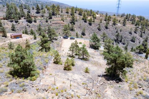 Terra a Arico, Tenerife, Arico - € 39.800 | Ref: 0067-04517/2961 - foto 27