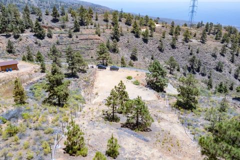 Terra a Arico, Tenerife, Arico - € 39.800 | Ref: 0067-04517/2961 - foto 28