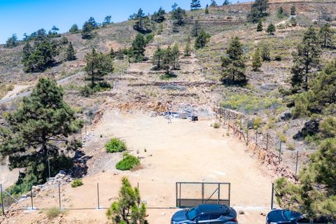 Terra a Arico, Tenerife, Arico - € 39.800 | Ref: 0067-04517/2961 - foto 31
