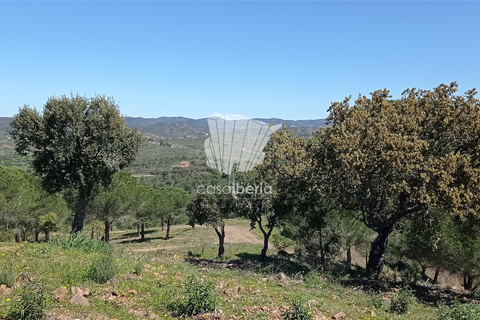 Farm i Silves, Faro, Silves - € 15.000.000 | Ref: 3603 - foto 3