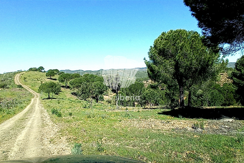 Farm i Silves, Faro, Silves - € 15.000.000 | Ref: 3603 - foto 4