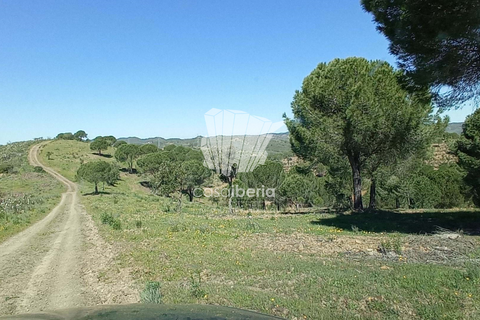 Farm i Silves, Faro, Silves - € 15.000.000 | Ref: 3603 - foto 5