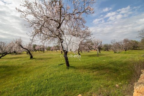 Helårsgrund i Faro, Faro, Faro - € 460.000 | Ref: 3618 - foto 1