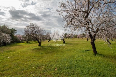 Helårsgrund i Faro, Faro, Faro - € 460.000 | Ref: 3618 - foto 2