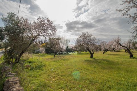 Helårsgrund i Faro, Faro, Faro - € 460.000 | Ref: 3618 - foto 4