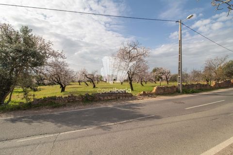 Helårsgrund i Faro, Faro, Faro - € 460.000 | Ref: 3618 - foto 5