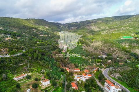 Villa i Monchique, Faro, Monchique - € 1.200.000 | Ref: 4694 - foto 8