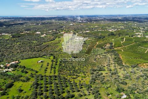 Villa i Silves, Faro, Silves - € 750.000 | Ref: 4728 - foto 5