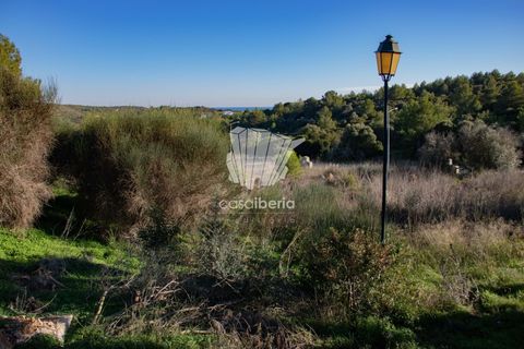 Helårsgrund i Sagres, Faro, Sagres - € 212.800 | Ref: 3513 - foto 4