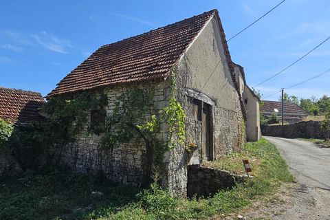 Villa i Savignac, Aveyron, Savignac - € 70.000 | Ref: DCF40A0ECB624833 - foto 12