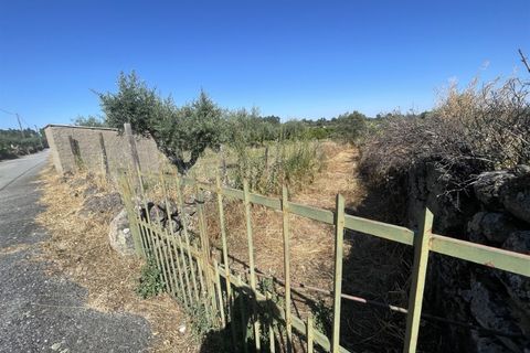 Helårsgrund i Escalos de Cima e Lousa, Castelo Branco, Escalos de Cima e Lousa - € 6.000 | Ref: hau6-2 - foto 3