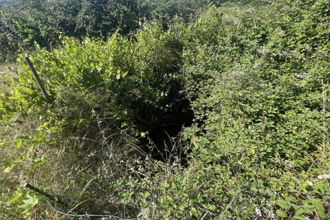 Helårsgrund i Escalos de Cima e Lousa, Castelo Branco, Escalos de Cima e Lousa - € 6.000 | Ref: hau6-2 - foto 8