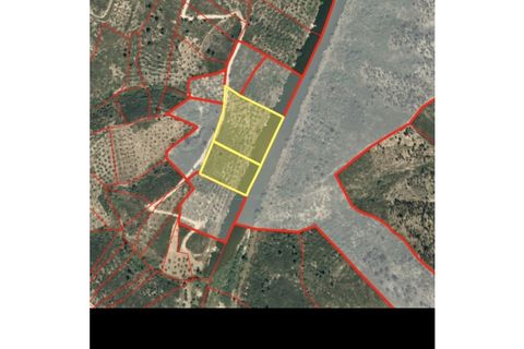 Helårsgrund i Castelo Branco, Castelo Branco, Castelo Branco - € 11.750 | Ref: hau117 - foto 10