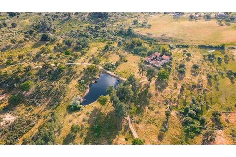 Landejendom i Castelo Branco, Castelo Branco, Castelo Branco - € 960.000 | Ref: 25039 - foto 2