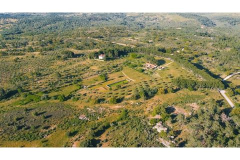 Landejendom i Castelo Branco, Castelo Branco, Castelo Branco - € 960.000 | Ref: 25039 - foto 4