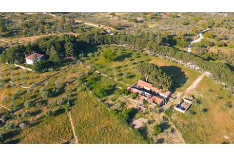 Landejendom i Castelo Branco, Castelo Branco, Castelo Branco - € 960.000 | Ref: 25039 - foto 5