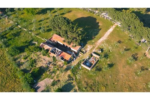 Landejendom i Castelo Branco, Castelo Branco, Castelo Branco - € 960.000 | Ref: 25039 - foto 6