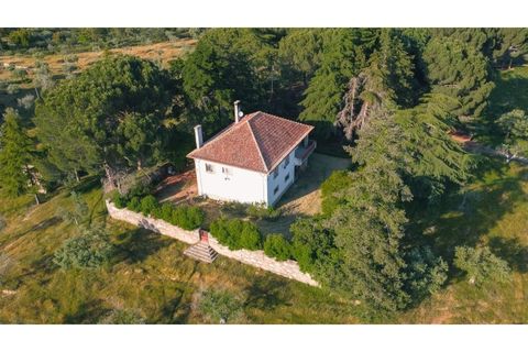Landejendom i Castelo Branco, Castelo Branco, Castelo Branco - € 960.000 | Ref: 25039 - foto 9