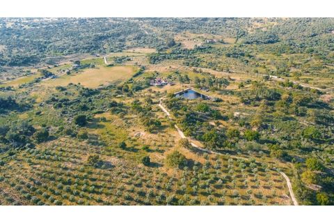 Landejendom i Castelo Branco, Castelo Branco, Castelo Branco - € 960.000 | Ref: 25039 - foto 10