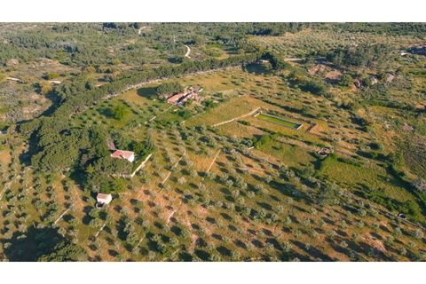 Landejendom i Castelo Branco, Castelo Branco, Castelo Branco - € 960.000 | Ref: 25039 - foto 11