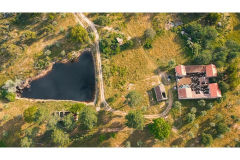Landejendom i Castelo Branco, Castelo Branco, Castelo Branco - € 960.000 | Ref: 25039 - foto 13