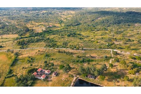 Landejendom i Castelo Branco, Castelo Branco, Castelo Branco - € 960.000 | Ref: 25039 - foto 14