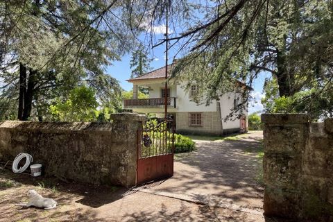 Landejendom i Castelo Branco, Castelo Branco, Castelo Branco - € 960.000 | Ref: 25039 - foto 16