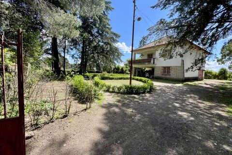 Landejendom i Castelo Branco, Castelo Branco, Castelo Branco - € 960.000 | Ref: 25039 - foto 18