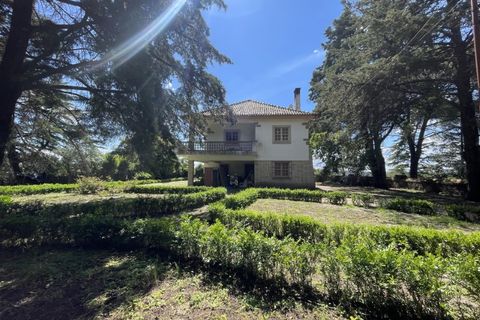 Landejendom i Castelo Branco, Castelo Branco, Castelo Branco - € 960.000 | Ref: 25039 - foto 19