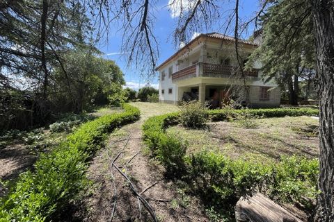 Landejendom i Castelo Branco, Castelo Branco, Castelo Branco - € 960.000 | Ref: 25039 - foto 21