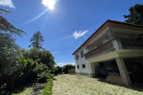 Landejendom i Castelo Branco, Castelo Branco, Castelo Branco - € 960.000 | Ref: 25039 - foto 22