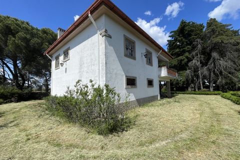 Landejendom i Castelo Branco, Castelo Branco, Castelo Branco - € 960.000 | Ref: 25039 - foto 23