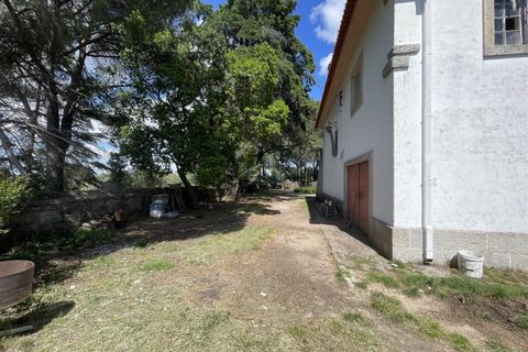Landejendom i Castelo Branco, Castelo Branco, Castelo Branco - € 960.000 | Ref: 25039 - foto 24
