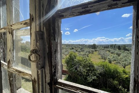 Landejendom i Castelo Branco, Castelo Branco, Castelo Branco - € 960.000 | Ref: 25039 - foto 34