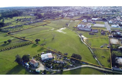 Farm i Alcains, Castelo Branco, Alcains - € 190.000 | Ref: HAU235 - foto 2