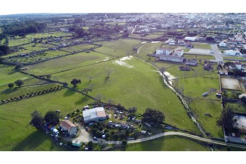 Farm i Alcains, Castelo Branco, Alcains - € 190.000 | Ref: HAU235 - foto 3