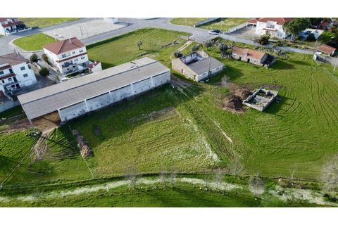 Farm i Alcains, Castelo Branco, Alcains - € 190.000 | Ref: HAU235 - foto 4