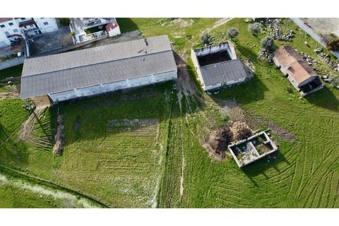 Farm i Alcains, Castelo Branco, Alcains - € 190.000 | Ref: HAU235 - foto 5