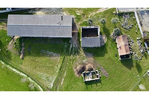 Farm i Alcains, Castelo Branco, Alcains - € 190.000 | Ref: HAU235 - foto 6