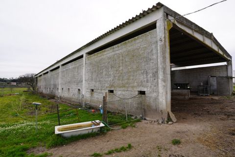 Farm i Alcains, Castelo Branco, Alcains - € 190.000 | Ref: HAU235 - foto 7