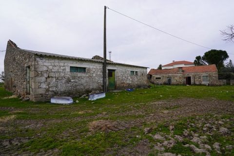 Farm i Alcains, Castelo Branco, Alcains - € 190.000 | Ref: HAU235 - foto 8